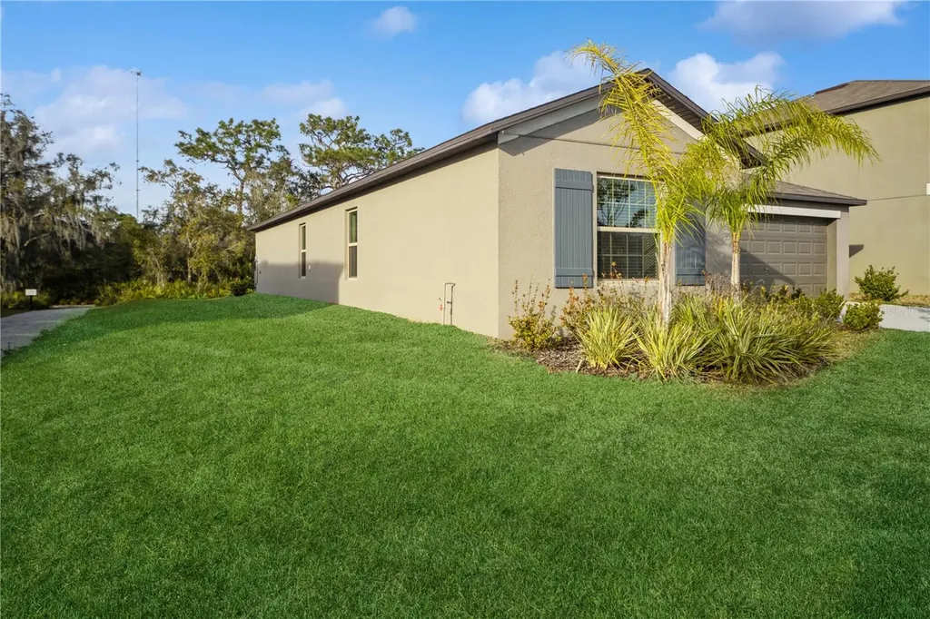 12967 Wildflower Meadow Drive Riverview FL 33579
