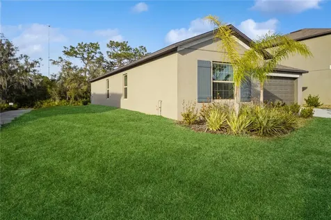 12967 Wildflower Meadow Drive Riverview FL 33579