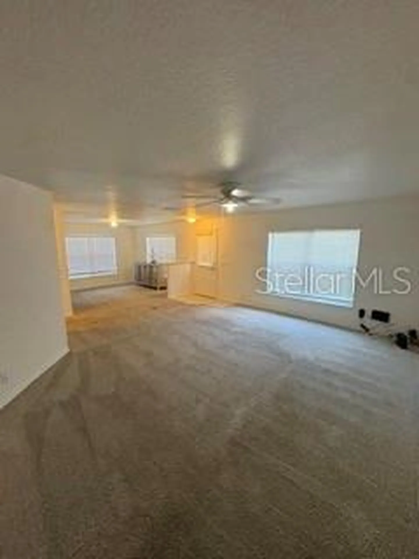 3425 Dragon View Court Valrico FL 33594