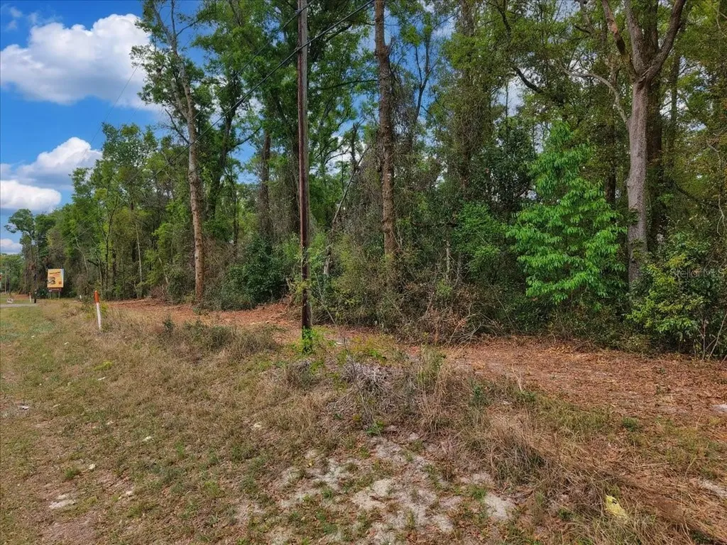 000 NW Us Highway 19 Fanning Springs FL 32693