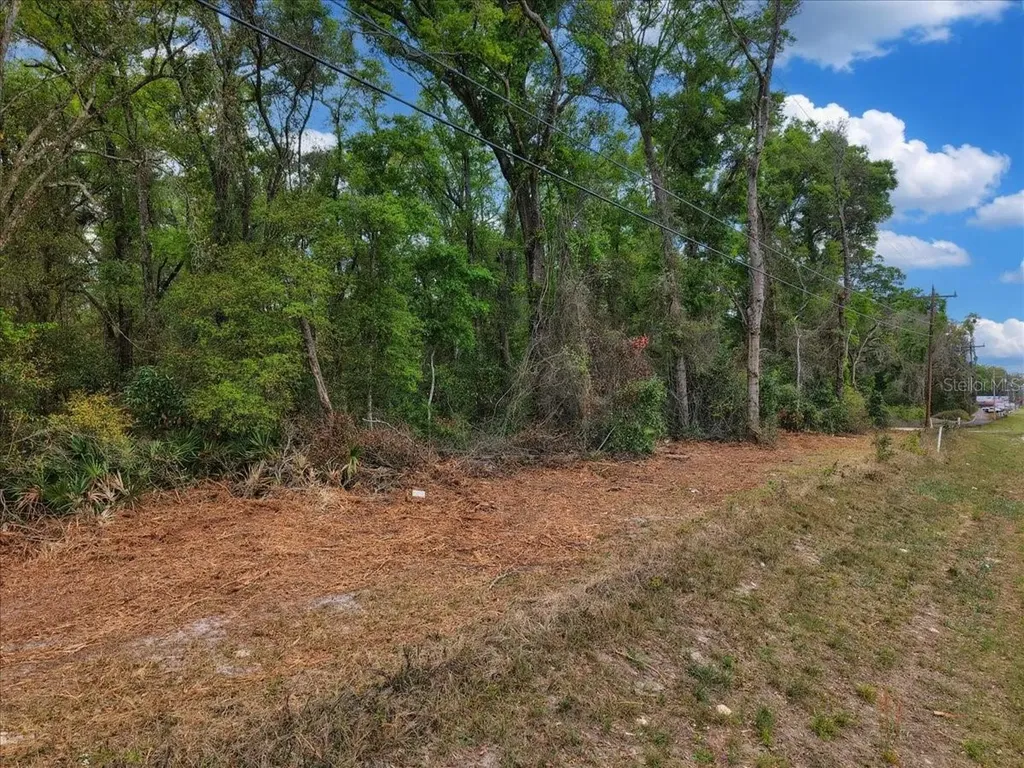 000 NW Us Highway 19 Fanning Springs FL 32693