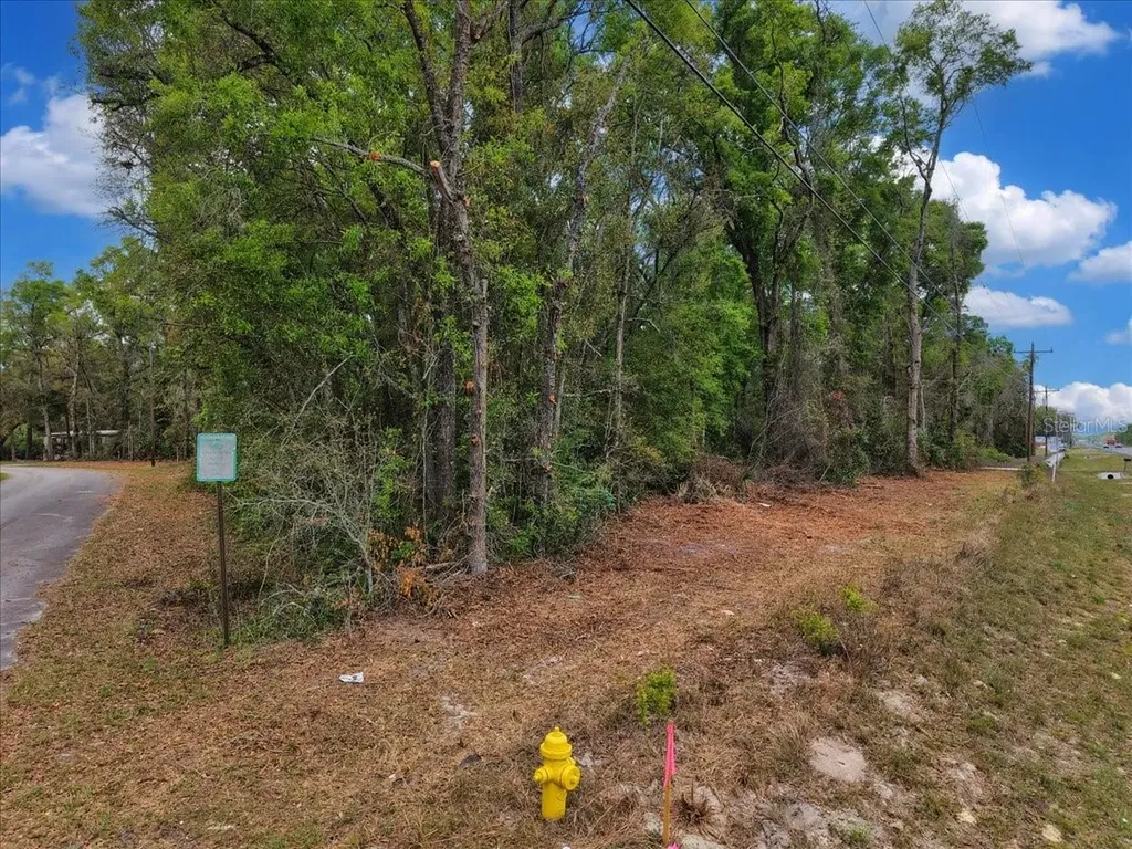 000 NW Us Highway 19 Fanning Springs FL 32693