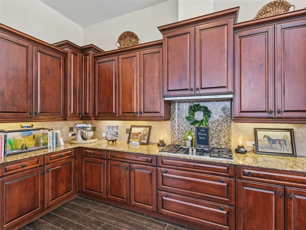 6121 Avocetridge Drive Lithia FL 33547