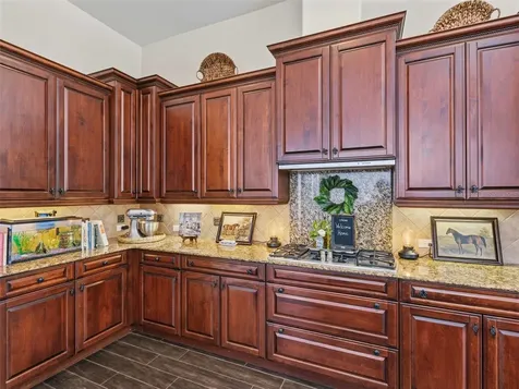6121 Avocetridge Drive Lithia FL 33547