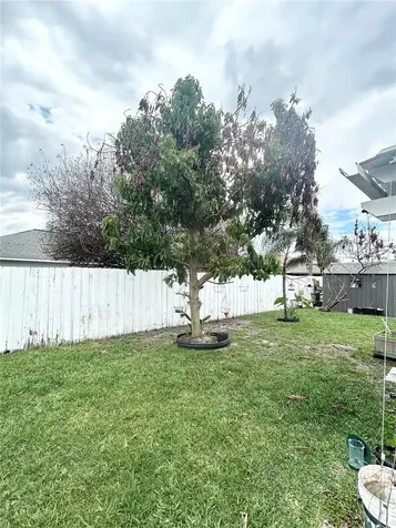 4202 Cracker Court St Cloud FL 34772
