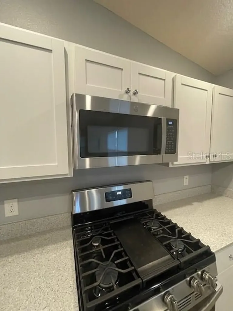 1221 Sean Curran Court The Villages FL 34762