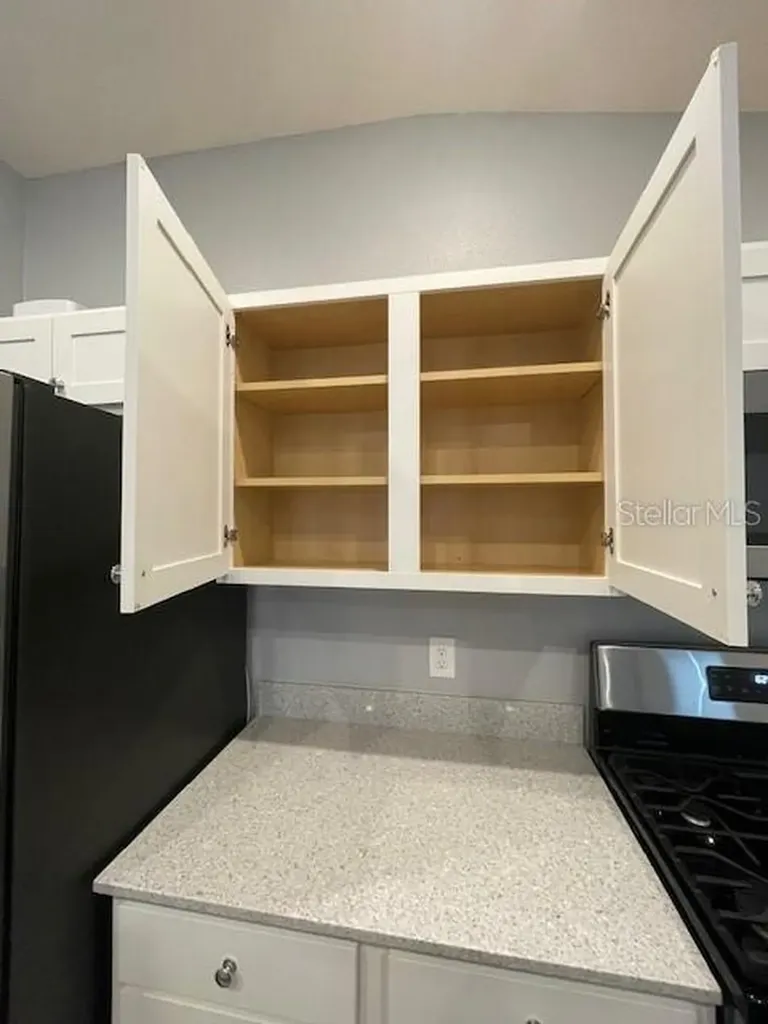 1221 Sean Curran Court The Villages FL 34762