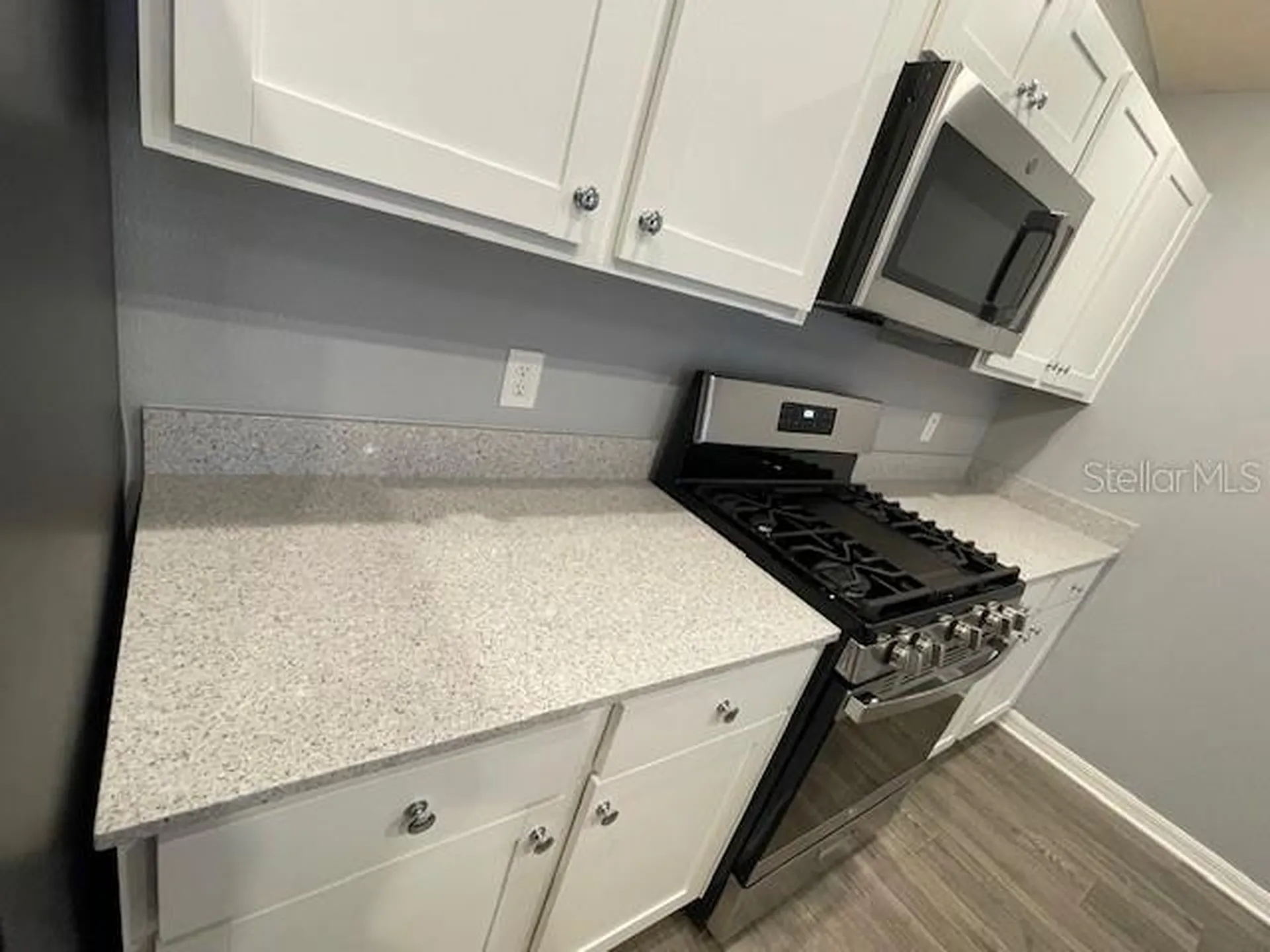 1221 Sean Curran Court The Villages FL 34762