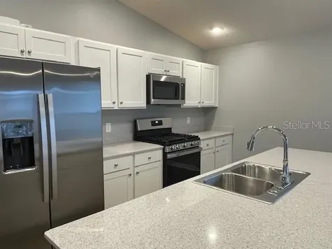 1221 Sean Curran Court The Villages FL 34762