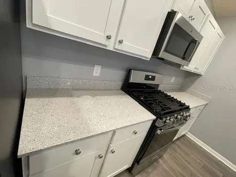 1221 Sean Curran Court The Villages FL 34762