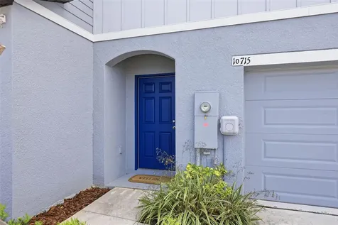 10715 Ironwood Tree Way San Antonio FL 33576