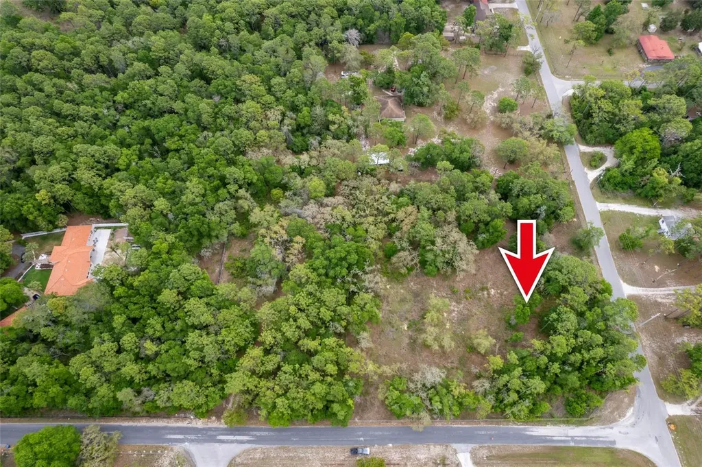 16021 Forzando Avenue Brooksville FL 34604
