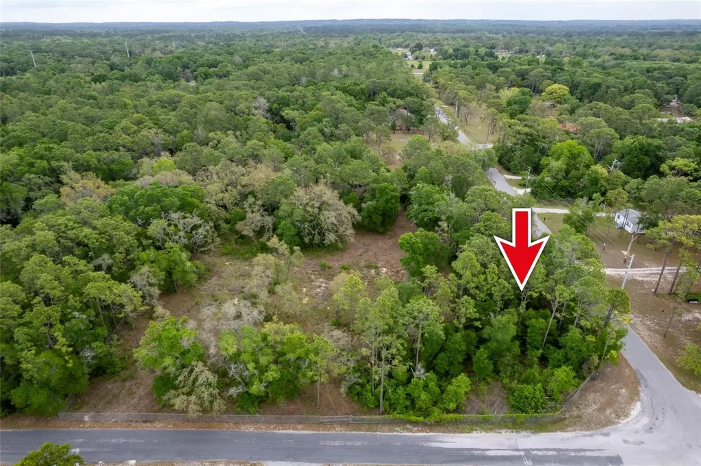 16021 Forzando Avenue Brooksville FL 34604