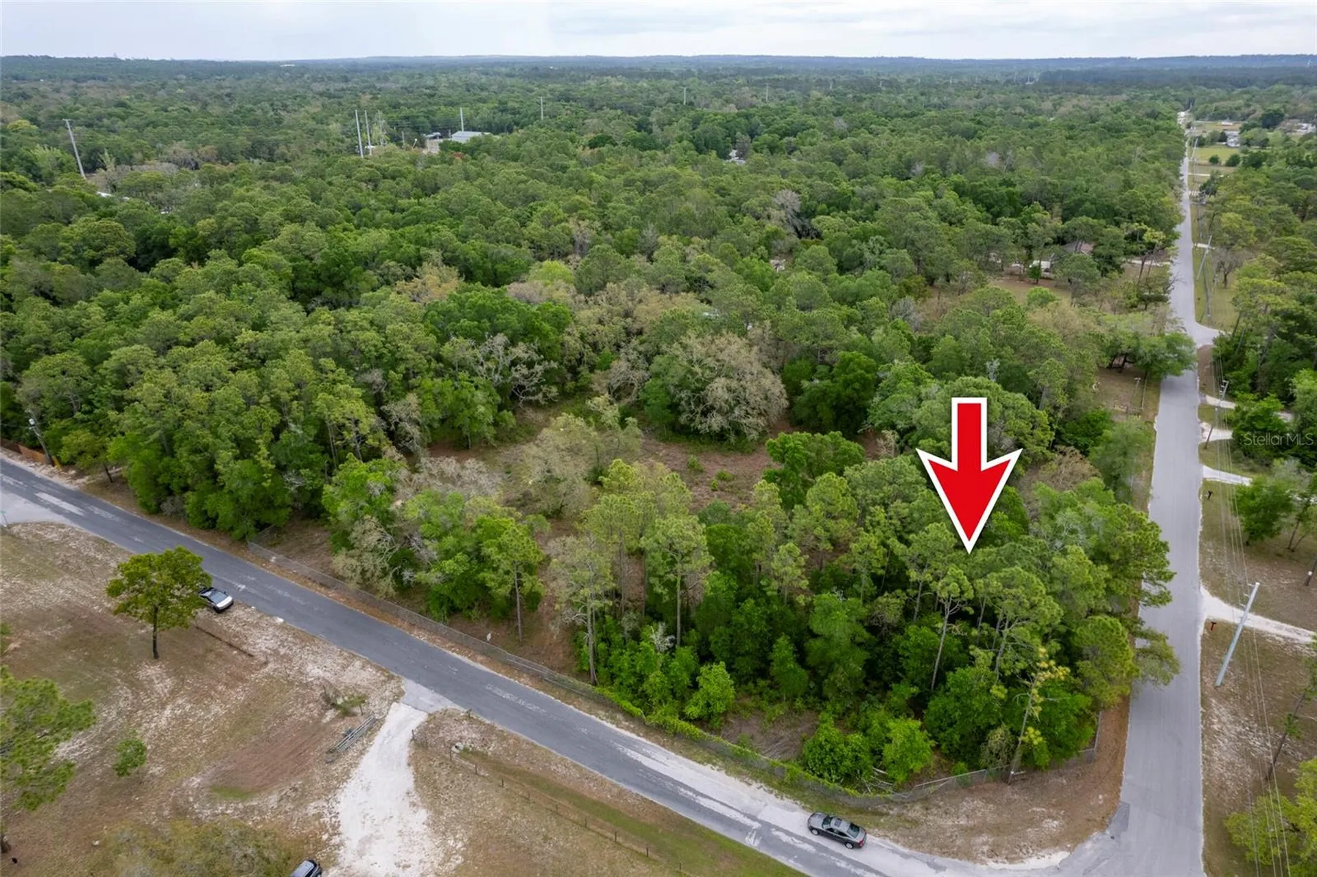 16021 Forzando Avenue Brooksville FL 34604