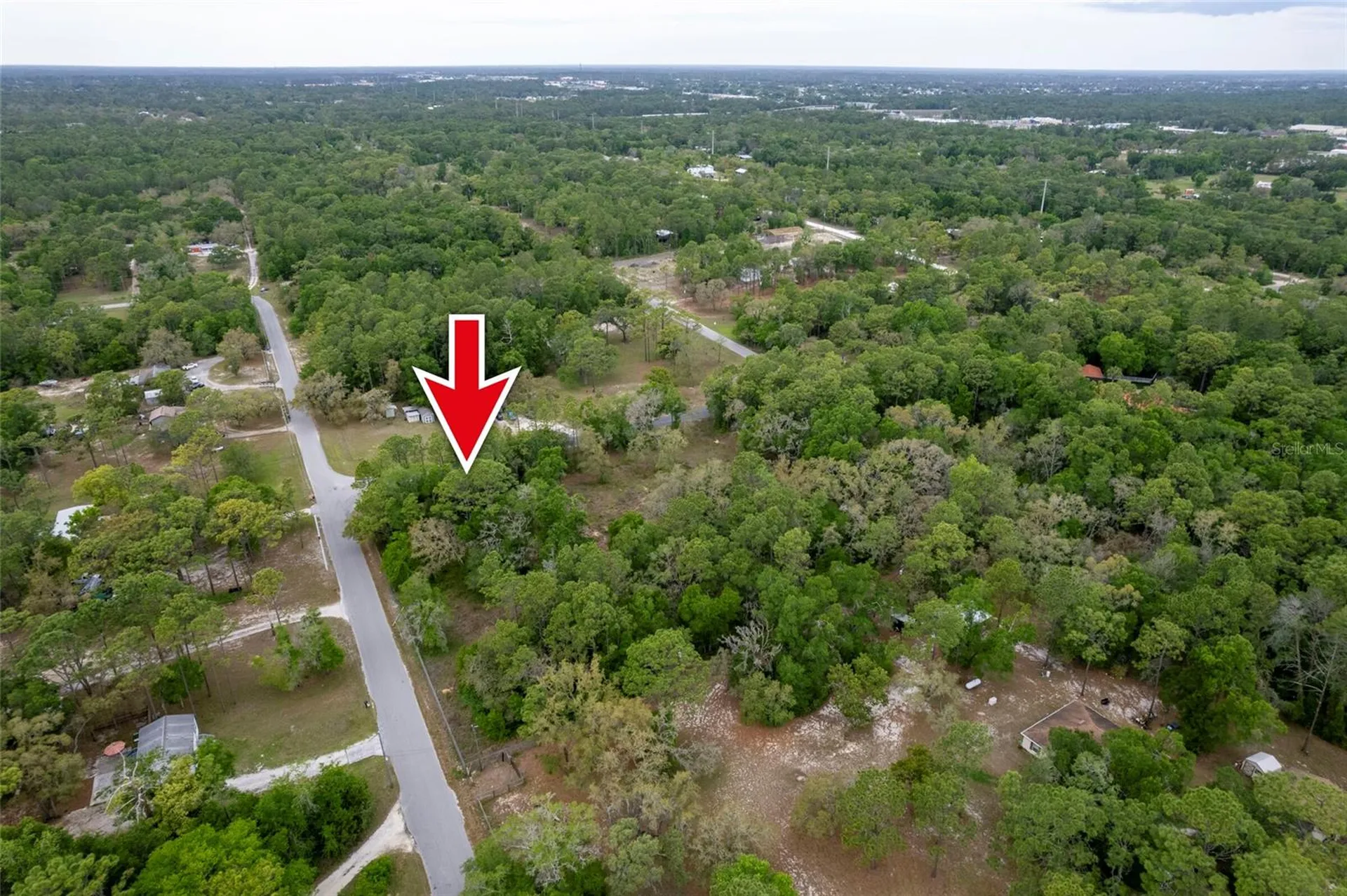 16021 Forzando Avenue Brooksville FL 34604