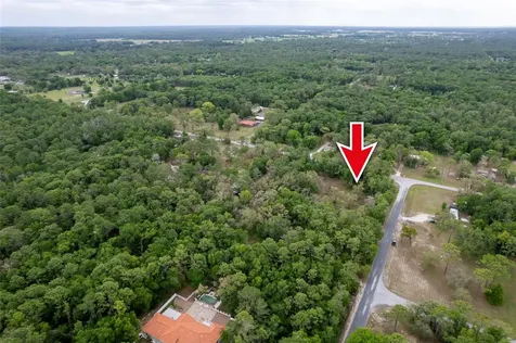 16021 Forzando Avenue Brooksville FL 34604