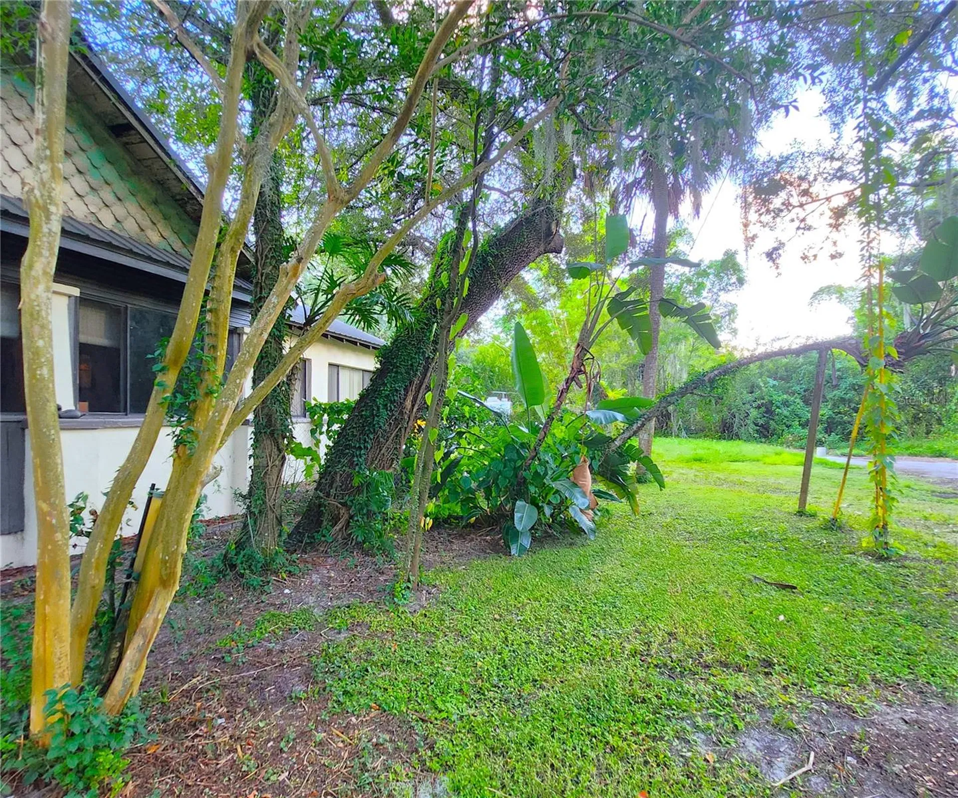 7805 N 12th Street Tampa FL 33604