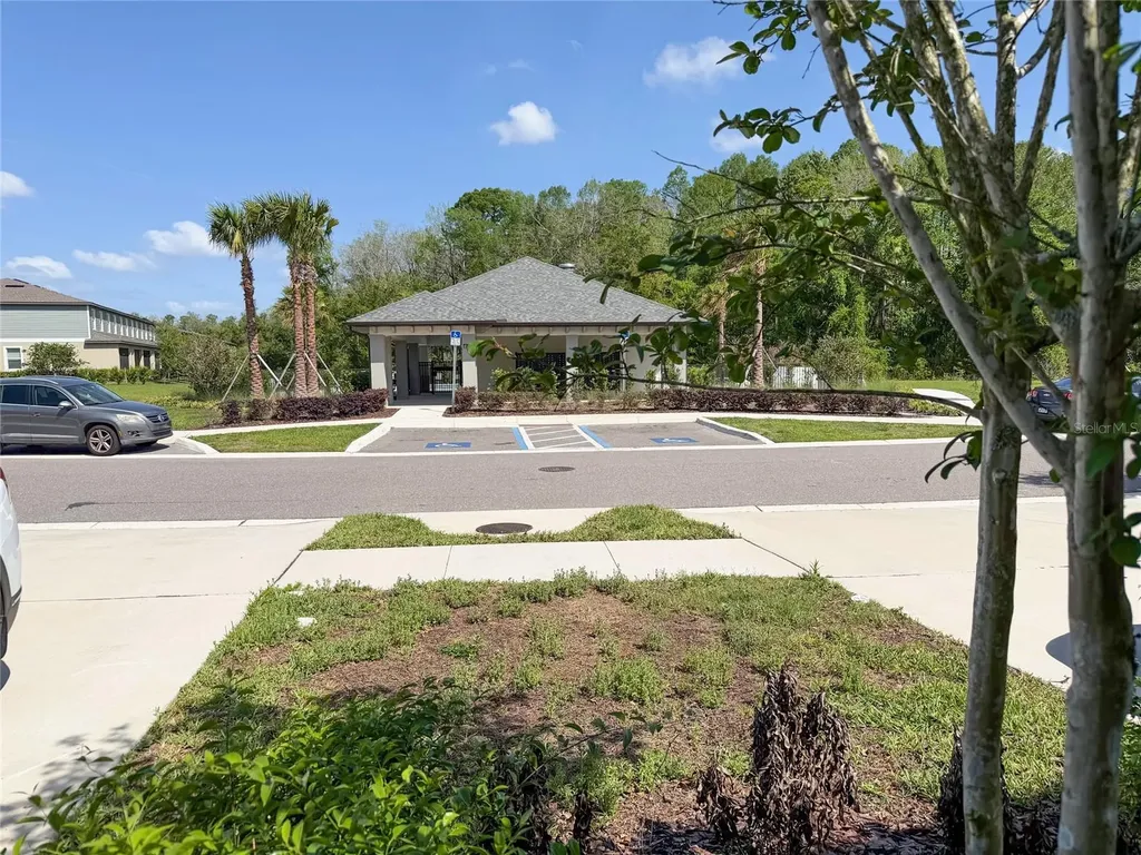 17608 Nectar Flume Drive Land O Lakes FL 34638