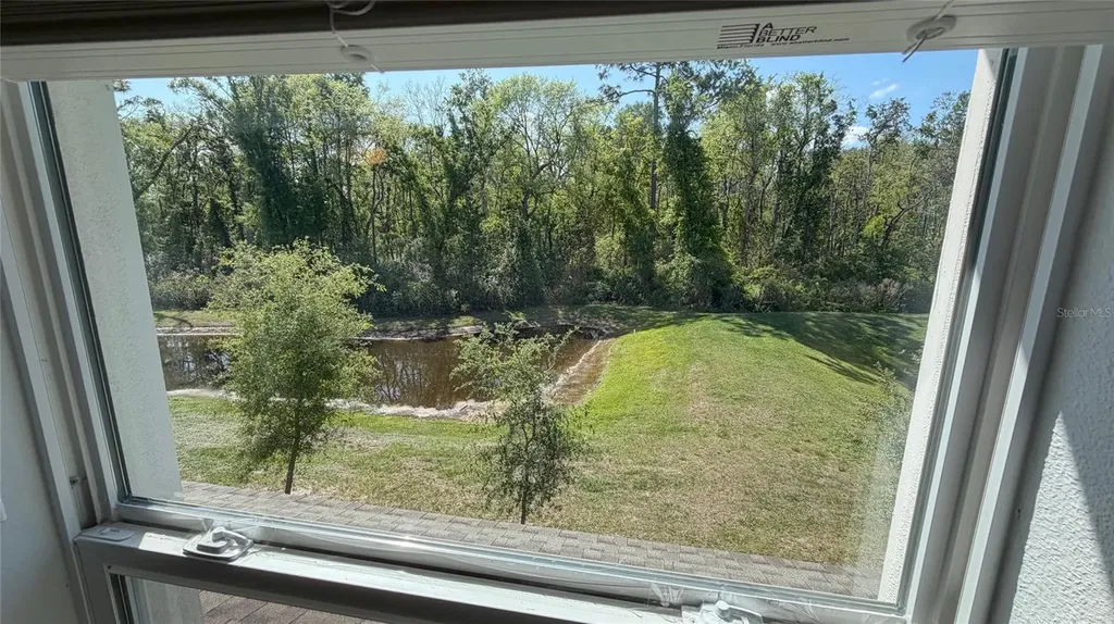17608 Nectar Flume Drive Land O Lakes FL 34638