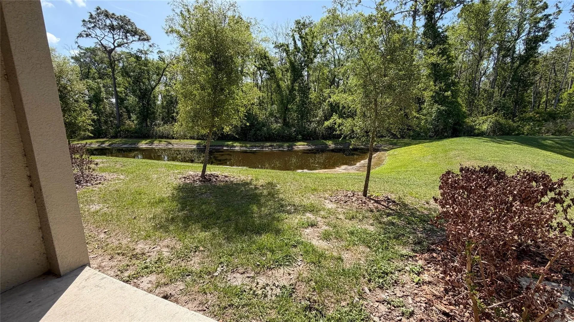 17608 Nectar Flume Drive Land O Lakes FL 34638