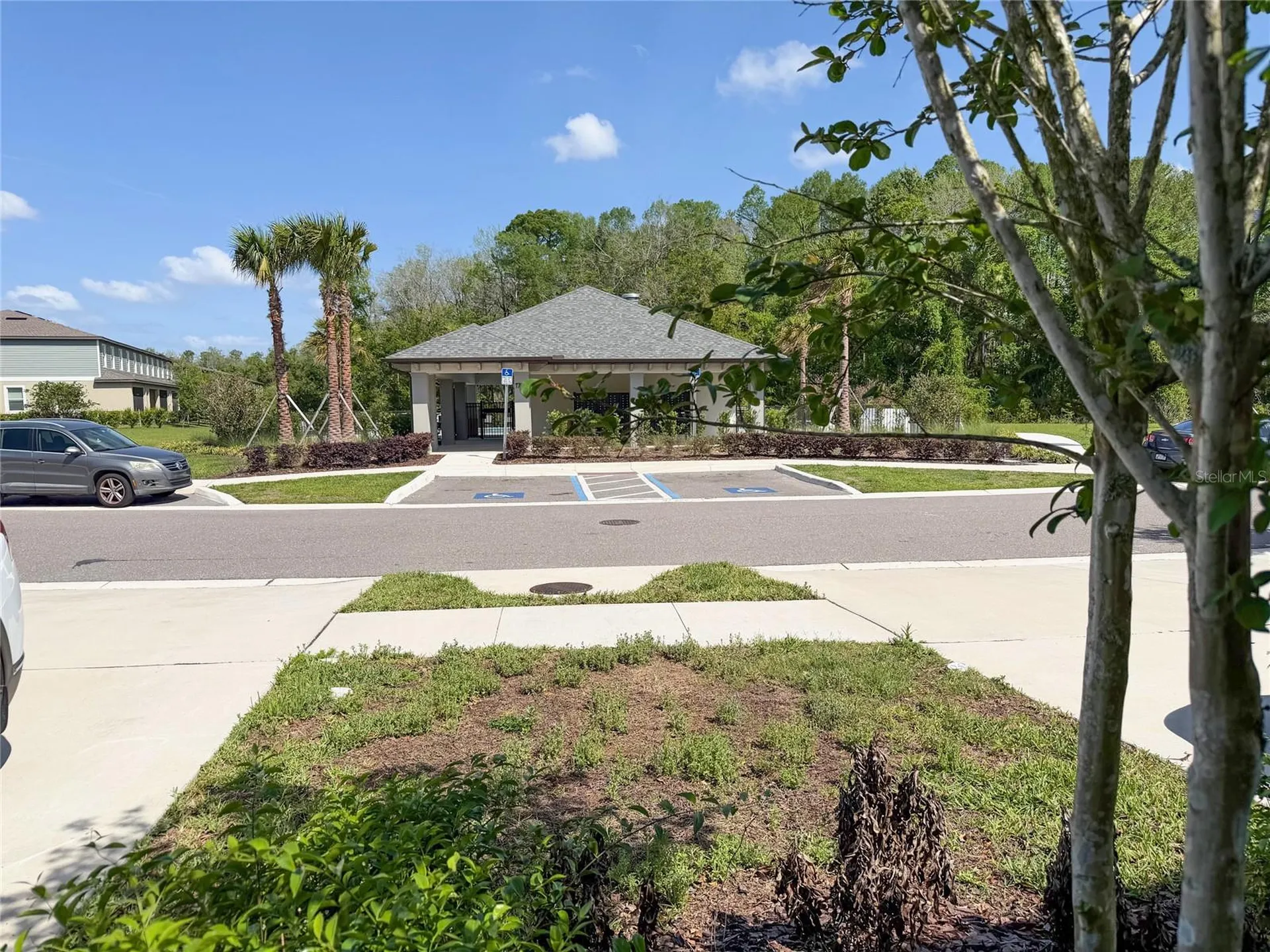 17608 Nectar Flume Drive Land O Lakes FL 34638