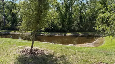 17608 Nectar Flume Drive Land O Lakes FL 34638