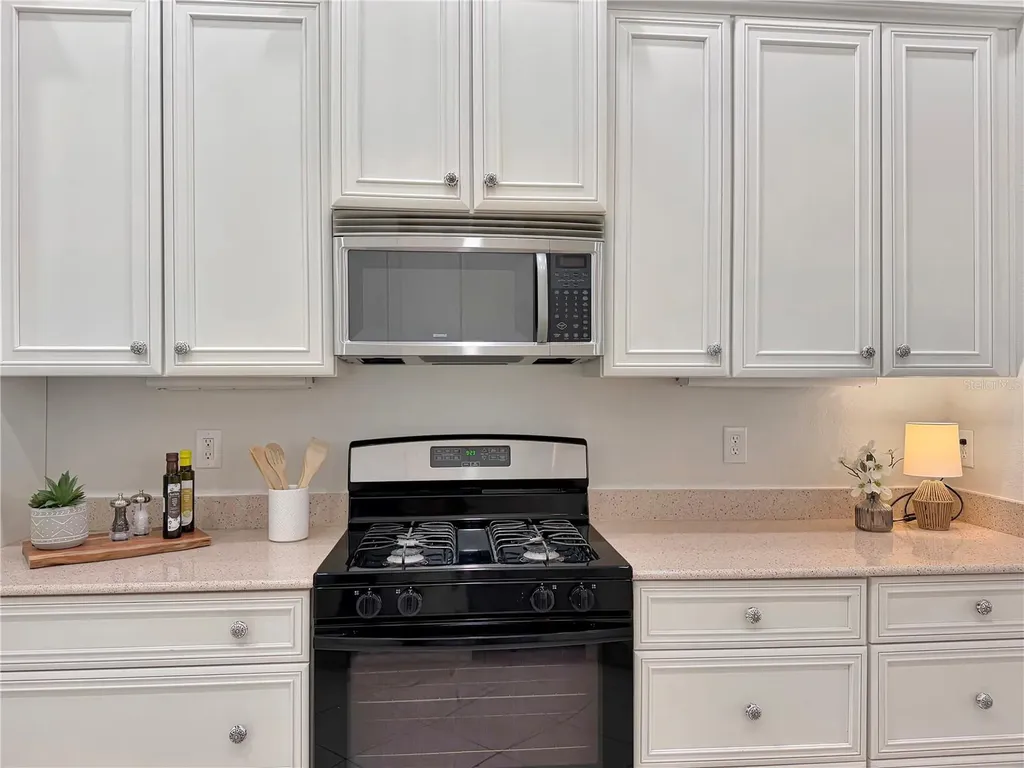 6817 Cromwell Garden Drive Apollo Beach FL 33572