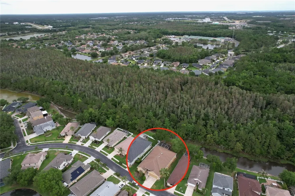 27509 Edenfield Drive Wesley Chapel FL 33544