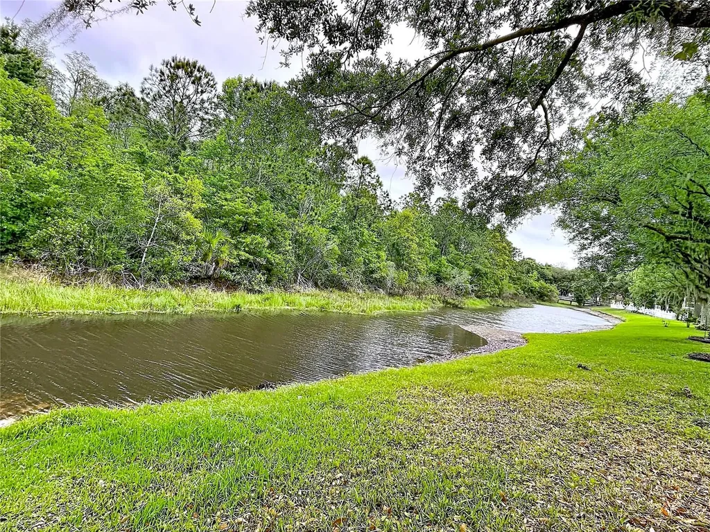 27509 Edenfield Drive Wesley Chapel FL 33544