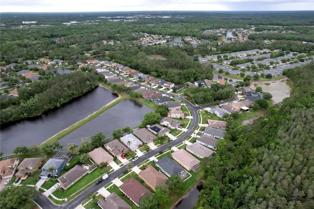 27509 Edenfield Drive Wesley Chapel FL 33544