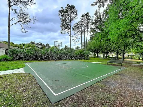 27509 Edenfield Drive Wesley Chapel FL 33544