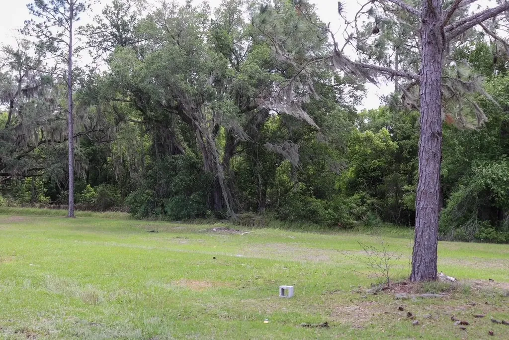 448 Fernandez Street Winter Haven FL 33880