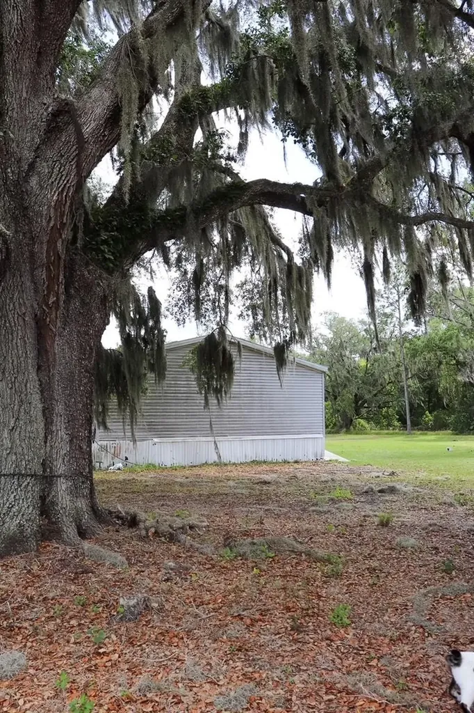 448 Fernandez Street Winter Haven FL 33880