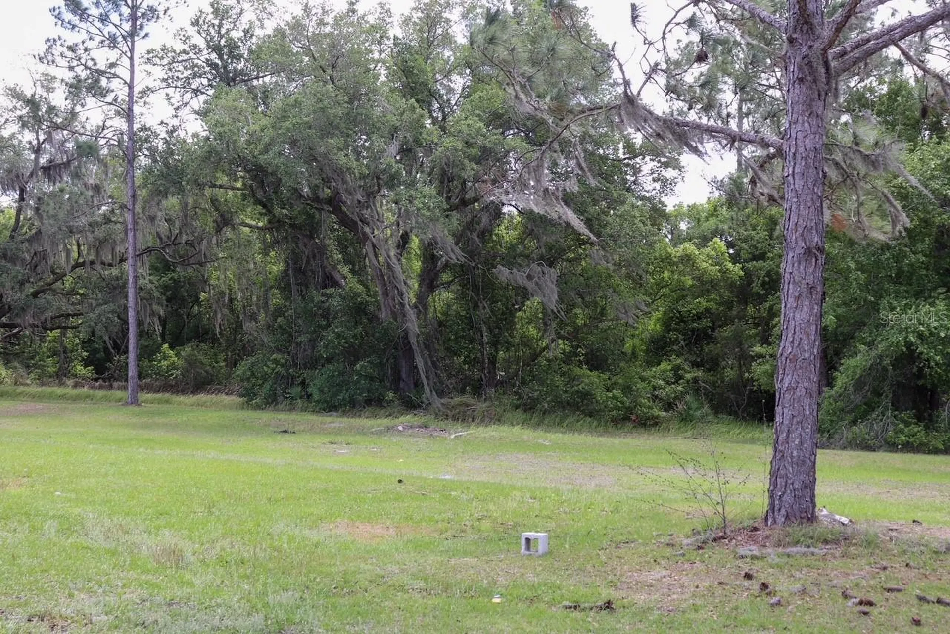 448 Fernandez Street Winter Haven FL 33880