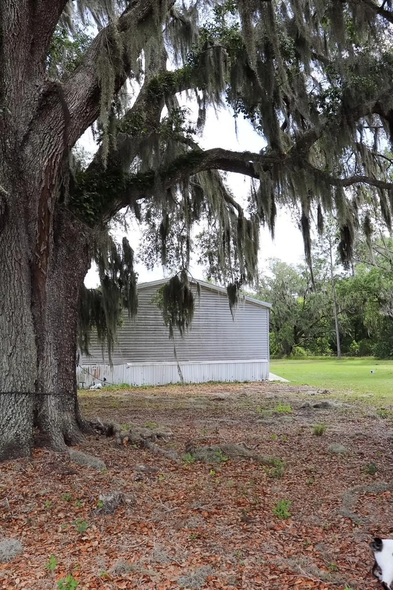 448 Fernandez Street Winter Haven FL 33880