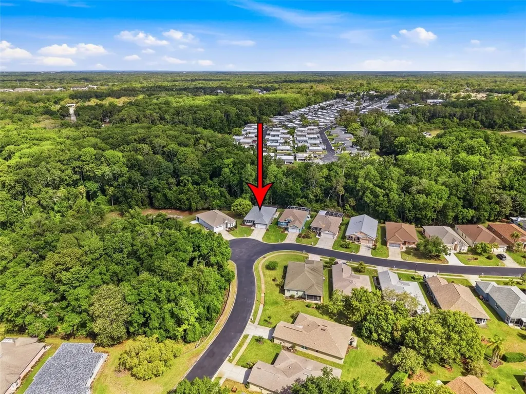 11303 Clear Oak Circle New Port Richey FL 34654