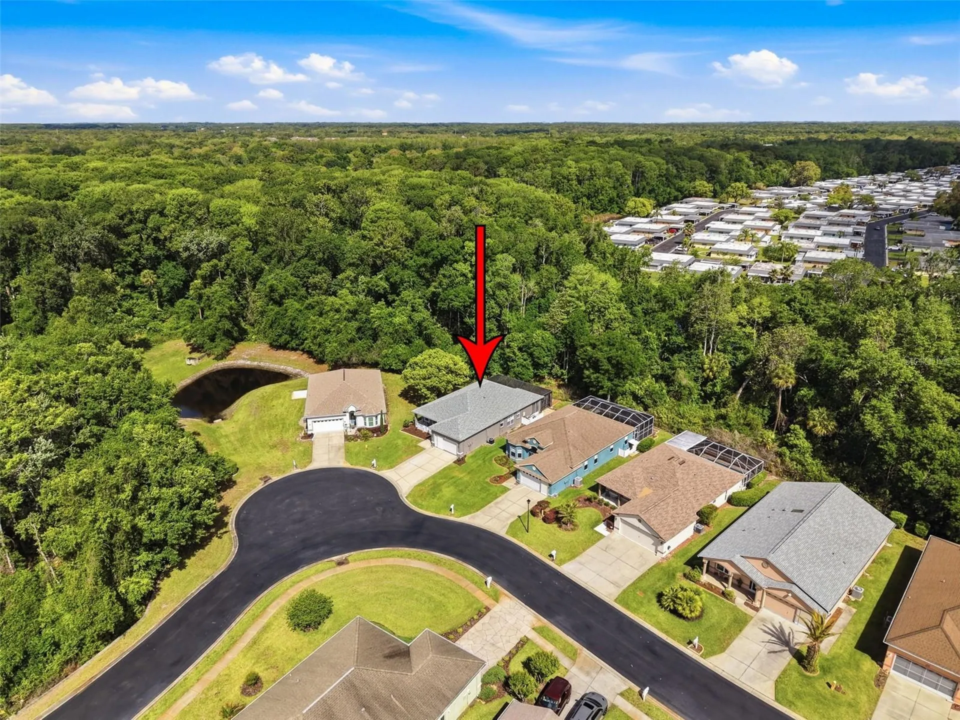 11303 Clear Oak Circle New Port Richey FL 34654