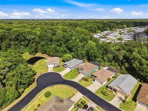 11303 Clear Oak Circle New Port Richey FL 34654