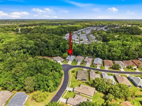 11303 Clear Oak Circle New Port Richey FL 34654