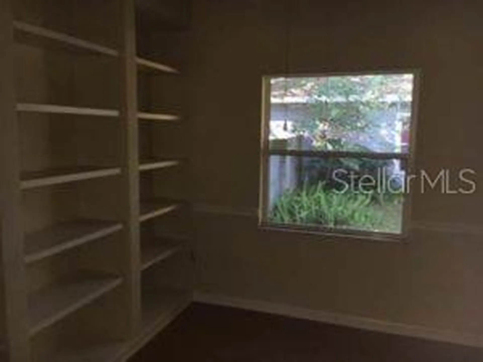4438 NW 34th Drive Gainesville FL 32605