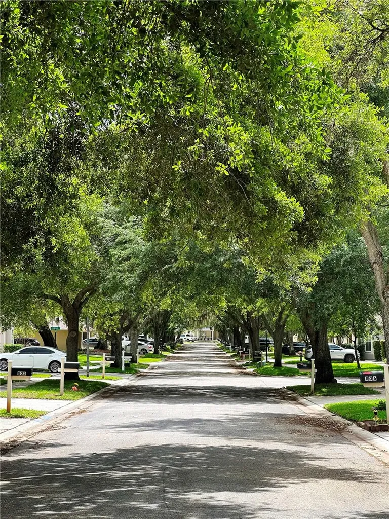 809 Straw Lake Drive Brandon FL 33510