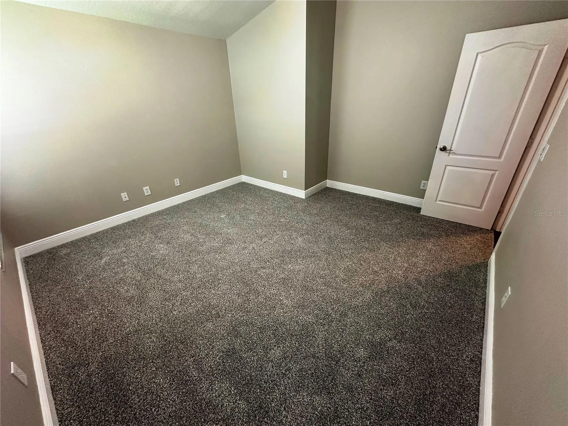 809 Straw Lake Drive Brandon FL 33510