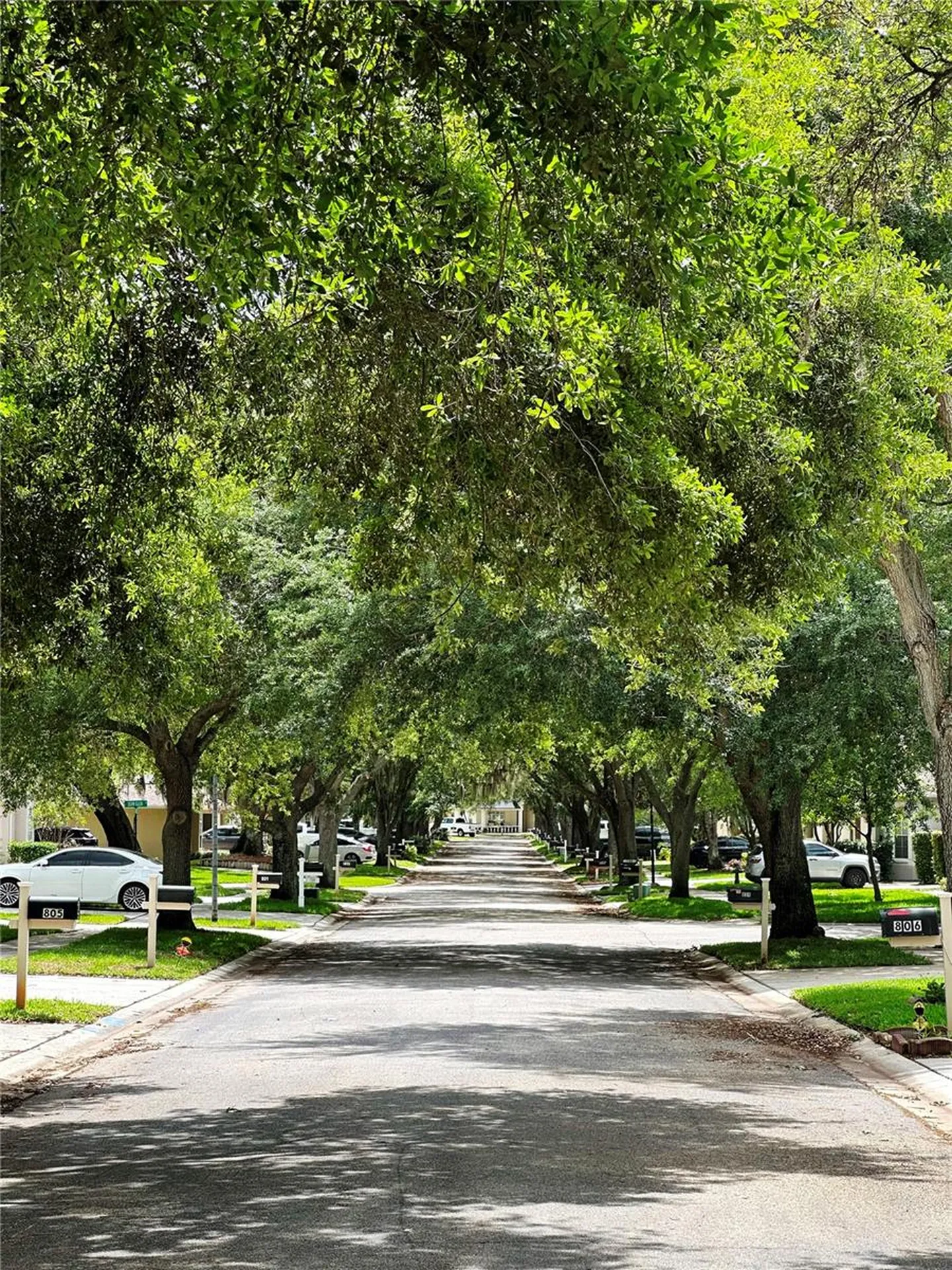 809 Straw Lake Drive Brandon FL 33510