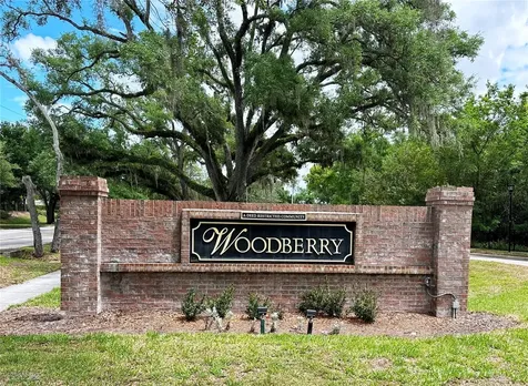 809 Straw Lake Drive Brandon FL 33510