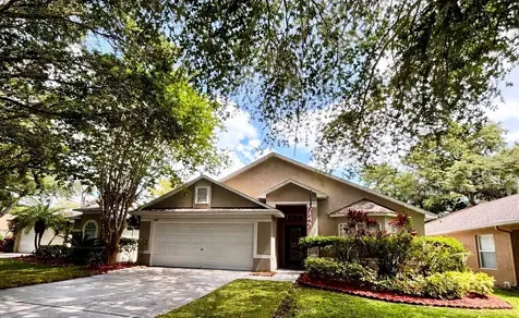 809 Straw Lake Drive Brandon FL 33510