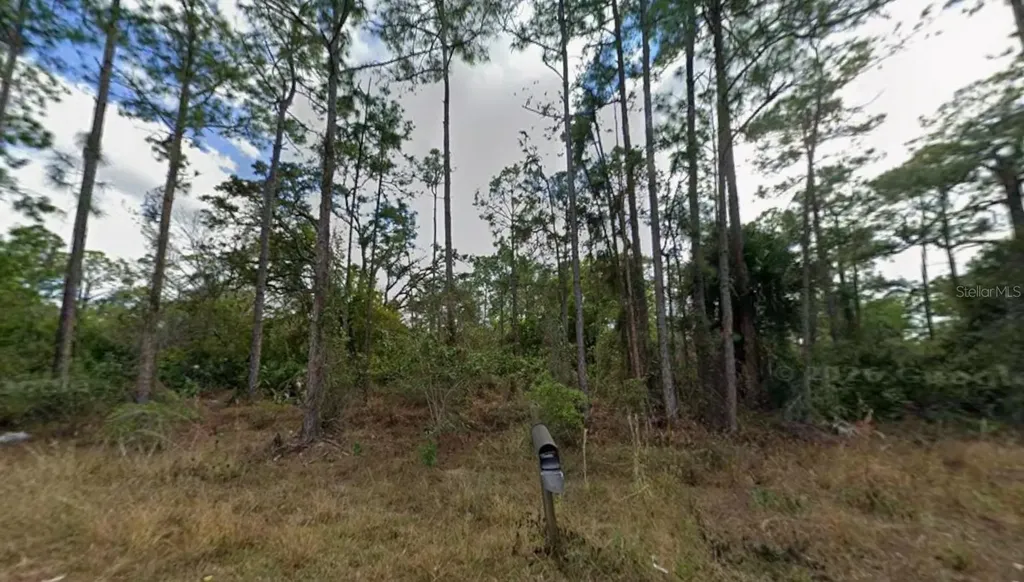 1210 Raphia Street E Lehigh Acres FL 33974