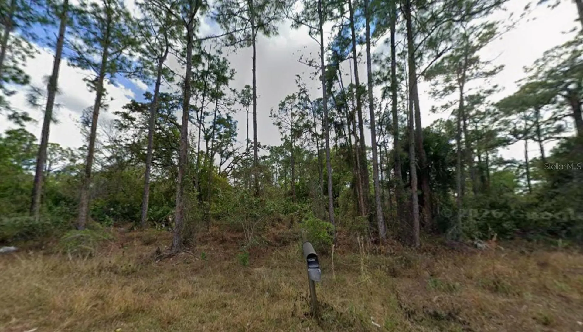 1210 Raphia Street E Lehigh Acres FL 33974