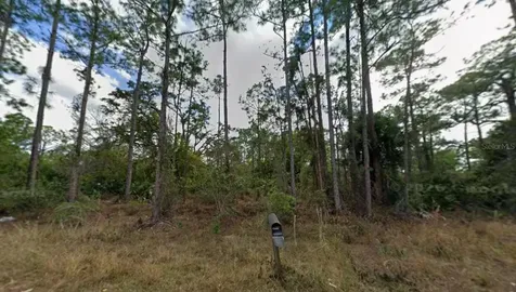 1210 Raphia Street E Lehigh Acres FL 33974