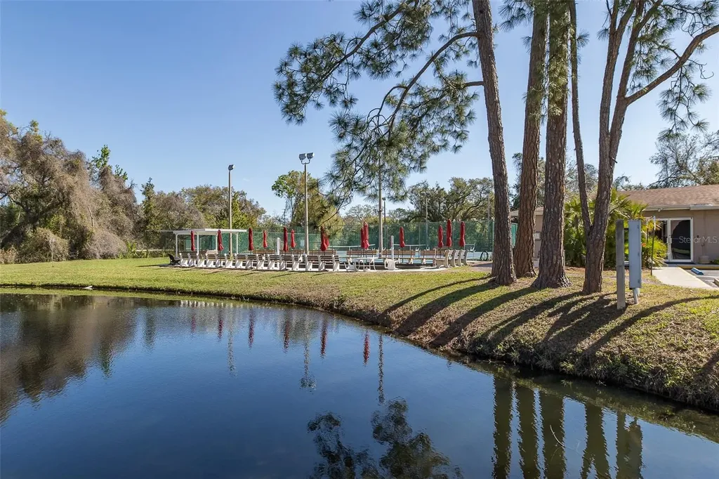 4832 Sunnybrook Drive New Port Richey FL 34653