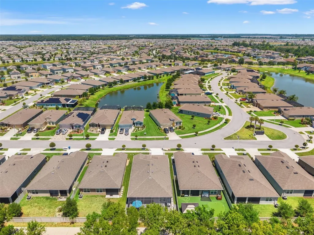 31486 Tansy Bend Wesley Chapel FL 33545